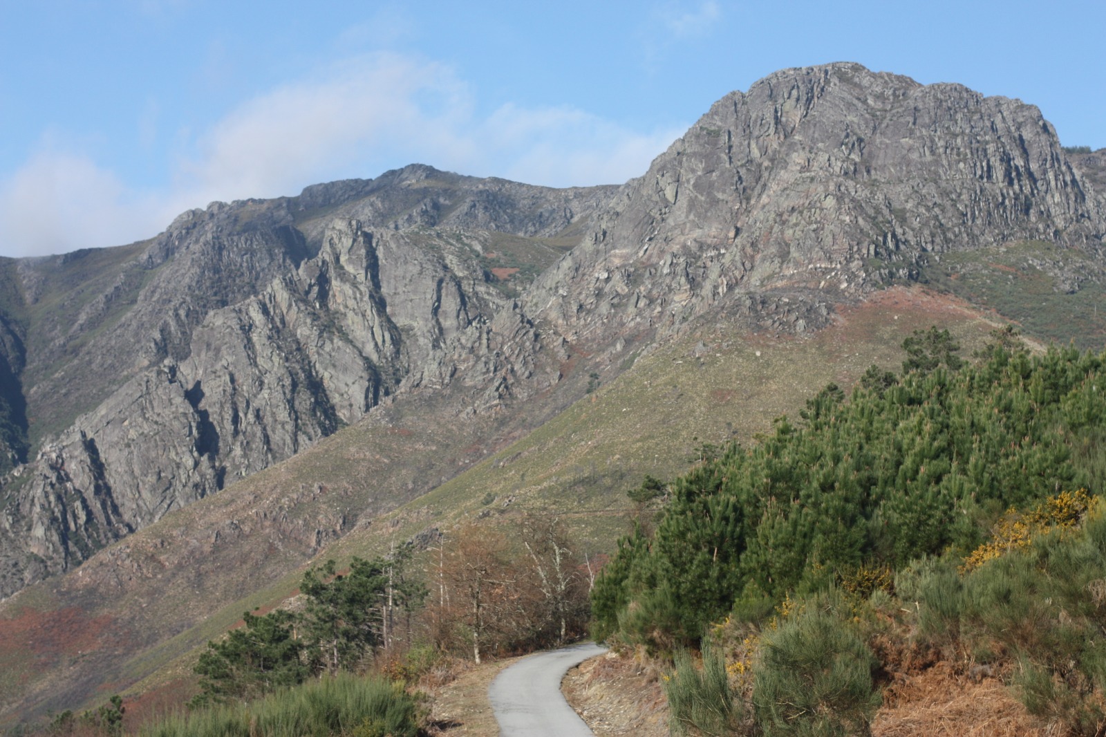 WhatsApp Image 2026 03 25 at 20.54.28